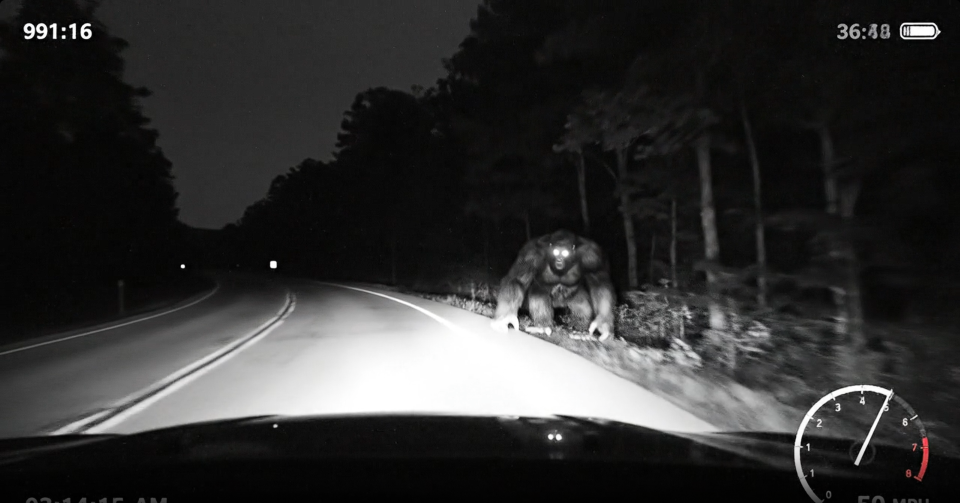 Night Dashcam